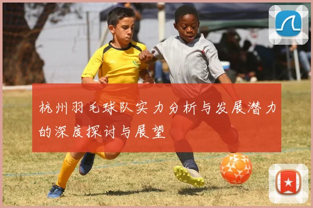 杭州羽毛球队实力分析与发展潜力的深度探讨与展望