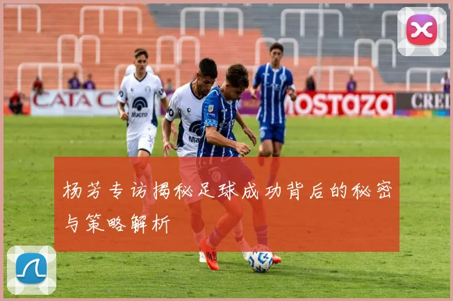 杨芳专访揭秘足球成功背后的秘密与策略解析