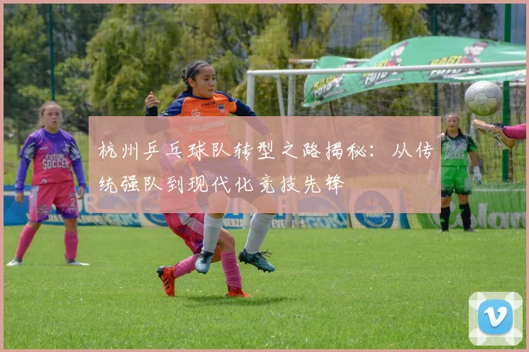 杭州乒乓球队转型之路揭秘：从传统强队到现代化竞技先锋