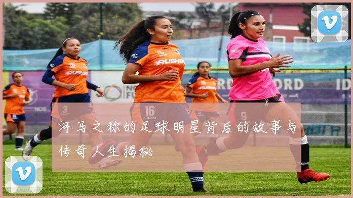 河马之称的足球明星背后的故事与传奇人生揭秘