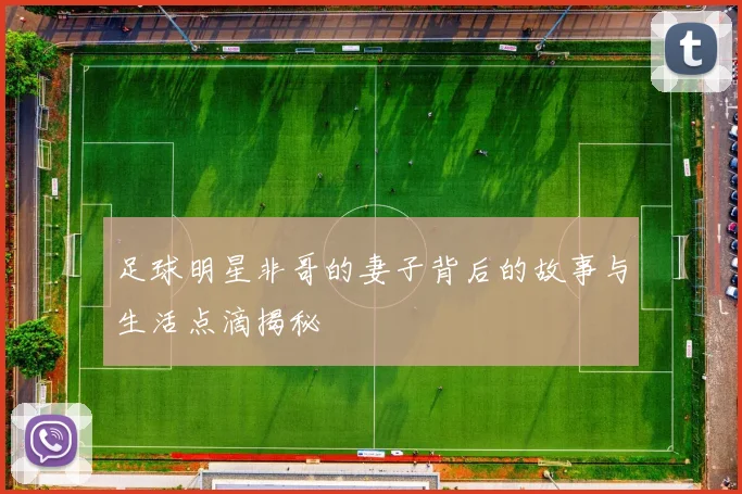 足球明星非哥的妻子背后的故事与生活点滴揭秘