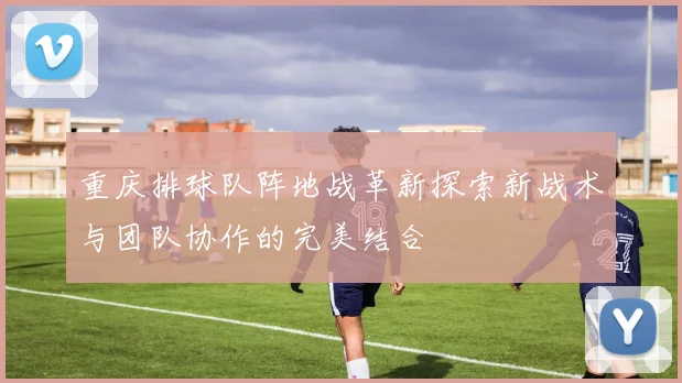 重庆排球队阵地战革新探索新战术与团队协作的完美结合