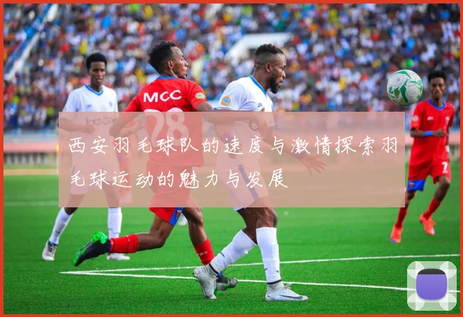 西安羽毛球队的速度与激情探索羽毛球运动的魅力与发展