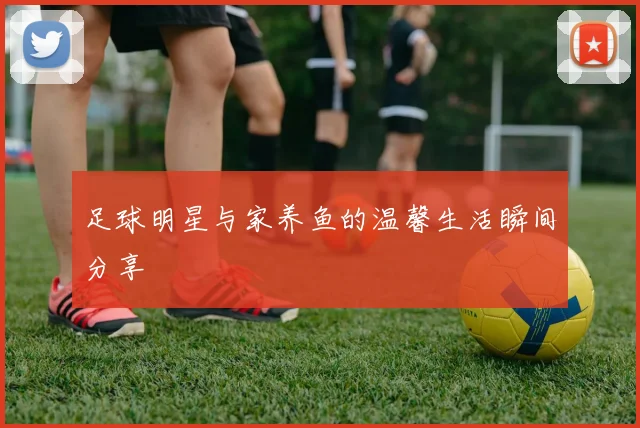 足球明星与家养鱼的温馨生活瞬间分享