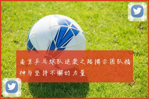 南京乒乓球队逆袭之路揭示团队精神与坚持不懈的力量