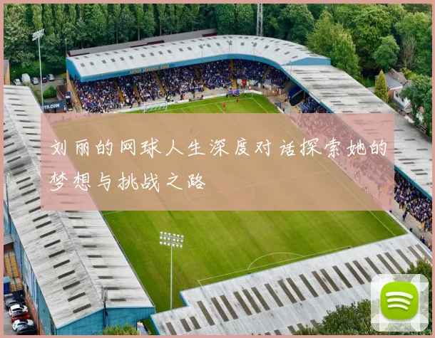 刘丽的网球人生深度对话探索她的梦想与挑战之路