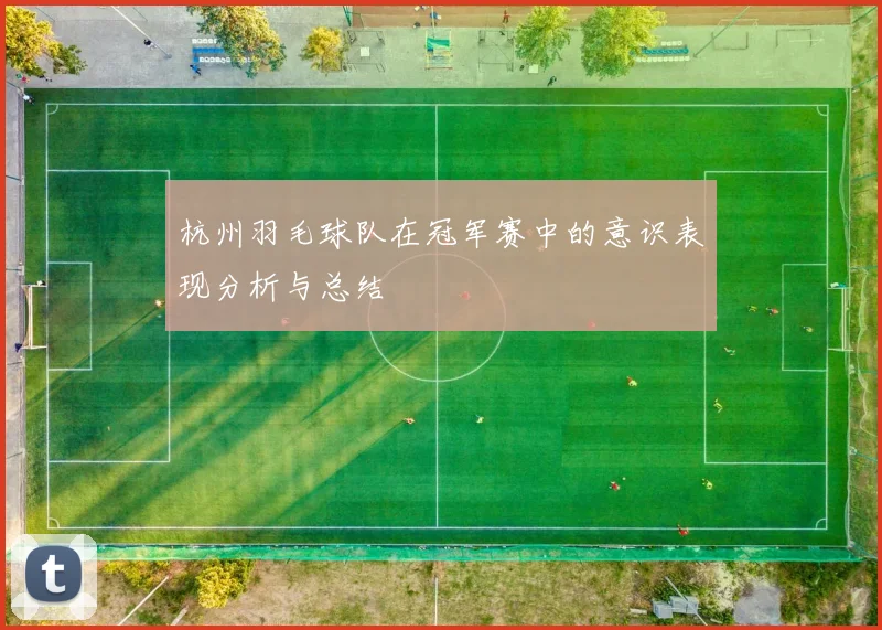 杭州羽毛球队在冠军赛中的意识表现分析与总结